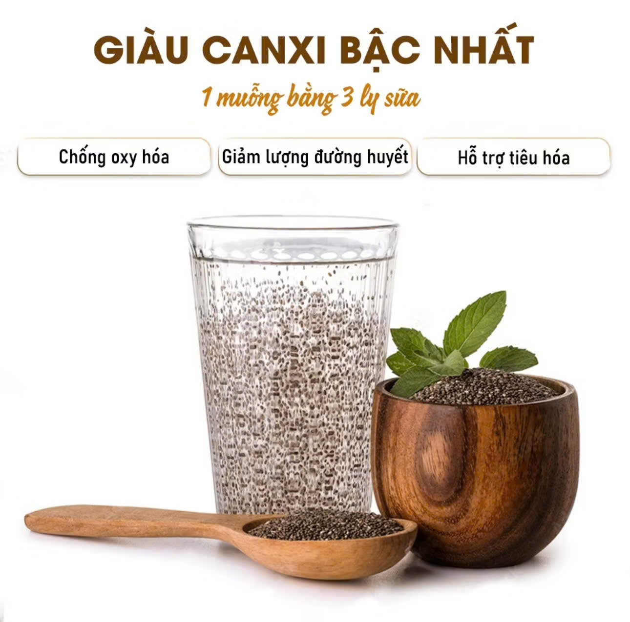 Hạt chia